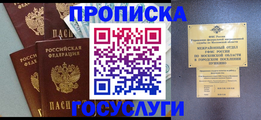 прописка гарантия в Канаше